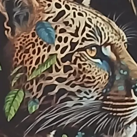 Dolce Sogno