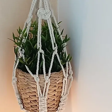 Dolce Sogno