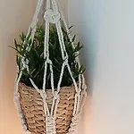 Dolce Sogno