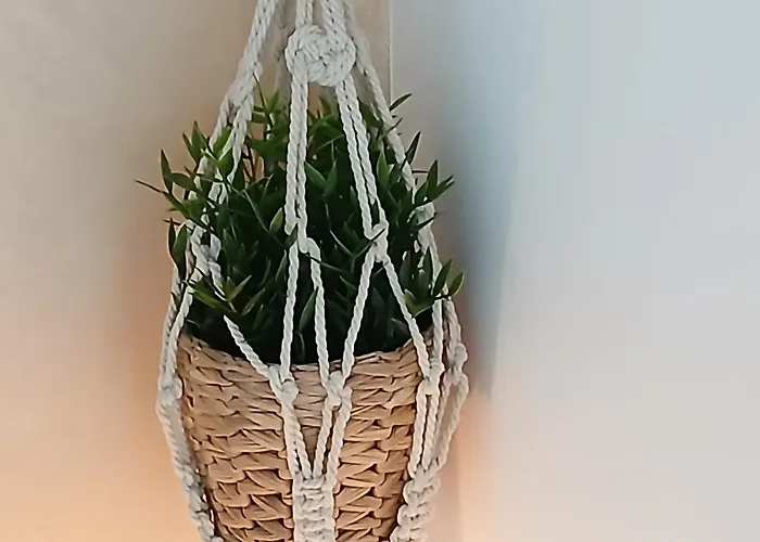 Dolce Sogno